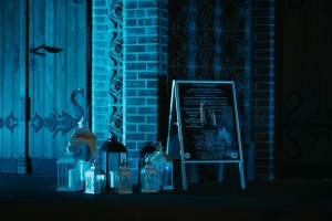 Novogodišnji koncert posvećen muzici Johana Štrausa "Sjaj bečkih valcera"