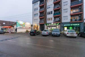 Cvećara "Nika" na adresi Arsenija Čarnojevića 58