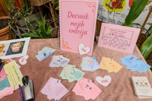 Humanitarni bazar „Drugari za Sanelu“