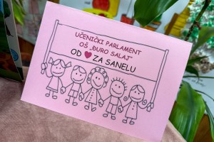 Humanitarni bazar „Drugari za Sanelu“