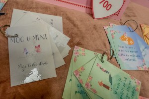 Humanitarni bazar „Drugari za Sanelu“