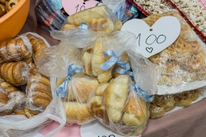 Humanitarni bazar „Drugari za Sanelu“