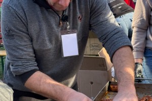 Fankijada u Tavankutu