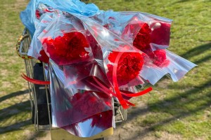 Performans obeležavanja 8. marta u organizaciji udruženja "Solidarnost"