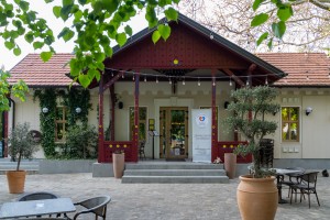 Drugo Donatorsko veče Kola srpskih sestara