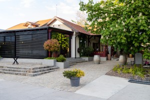 Drugo Donatorsko veče Kola srpskih sestara