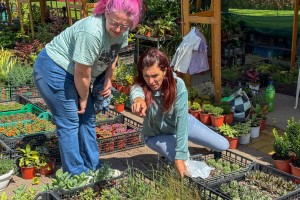 Prolećni sajam cveća "Garden flora"