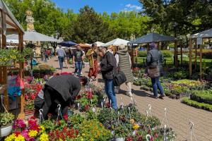 Prolećni sajam cveća "Garden flora"