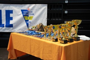 Rvanje: 20. Memorijal "Refik Memišević - Brale"