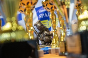 Rvanje: 20. Memorijal "Refik Memišević - Brale"