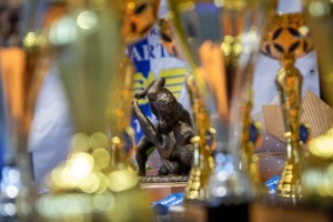 Rvanje: 20. Memorijal "Refik Memišević - Brale"