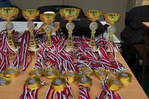 Gradsko prvenstvo akcije "Liga malih šampiona"