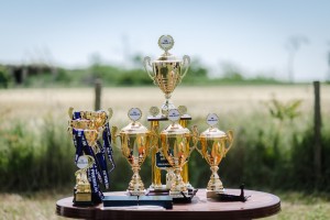 IV Premium Trap Team Grand Prix - 2. dan