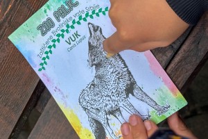 Otvoreni dan u Zoo vrtu
