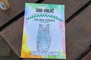 Otvoreni dan u Zoo vrtu