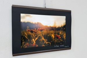 Izložba radova polaznika kursa za fotografa