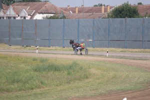 Četvrti trkački dan - "Subotička milja" i "Mercedes-Benz kup"