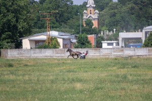 Četvrti trkački dan - "Subotička milja" i "Mercedes-Benz kup"