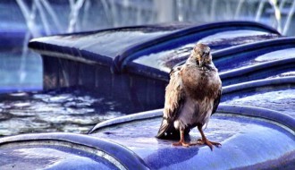 Snimanje spota za Telenor