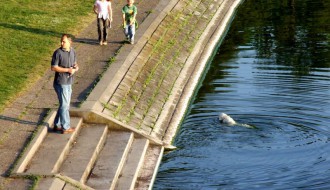 Izgradnja luna parka na paliću. Roller Coaster po prvi put kod nas.