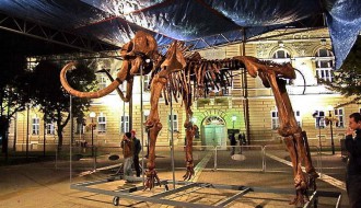 Kikinda - Dani Ludaje