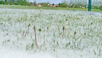 SuTeam Football Chalange