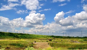 Auto trke kod Čantavirskog puta