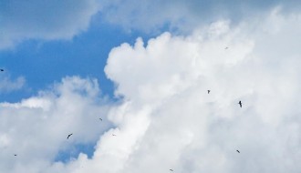 Možda je ovo spremanje za "kupališnu sezonu" :)