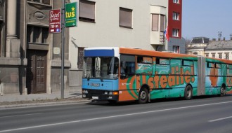 predivan dan - mnogo posetilaca na Paliću