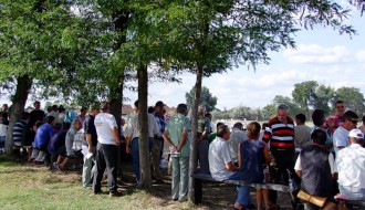 Kasačke Trke  "Dužijanca 2009"