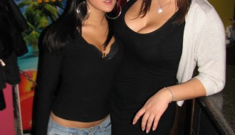 Vikend borbe protiv svinjskog gripa