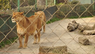 Poseta Zološkom vrtu