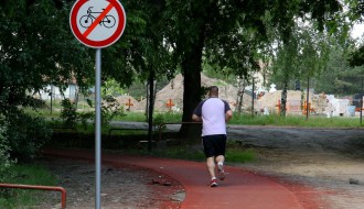 Jedan običan dan u Dudovoj šumi