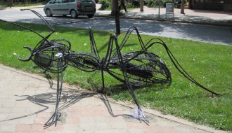 Eko mrav na Radijalcu