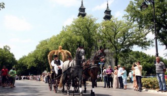 Dužijanca 2013 - Povorka kroz grad