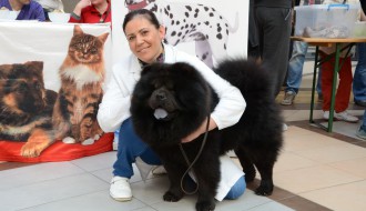 Kraljevski ljubimac Subotice