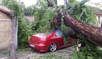 Snažno nevreme rušilo stabla u Subotici