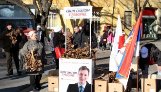 Članovi Srpske napredne stranke delili badnjake građanima