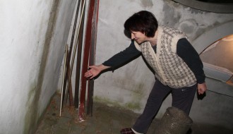 Lisica u porodičnom domu