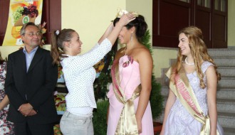 Manifestacija 26. Berbanski dani