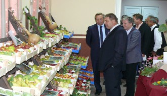 Berbanski dani u Hajdukovu