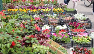 6. Sajam cveća "Garden flora"