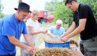 "Dan dužijance 2017" - Slamarska kolonija "Aleksandrovo“
