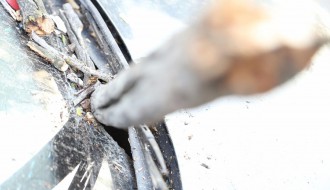 Olujni vetar lomio stabla i napravio materijalnu štetu