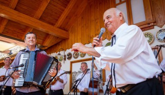 Otkrivanje bisti sastavu "8 tamburaša" i Zvonku Bogdanu + koncert i druženje