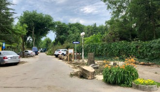 Seča drvoreda u Jezerskoj ulici na Paliću