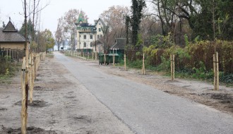 Novi zasad drvoreda u Jezerskoj ulici