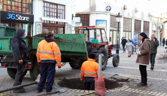 Sadnja novih sadnica lipe