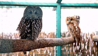 Prihvatilište za divlje životinje