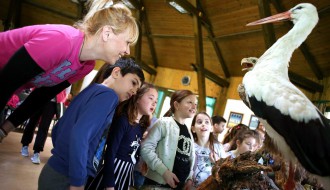 Izložba zaplenjenih artefakata